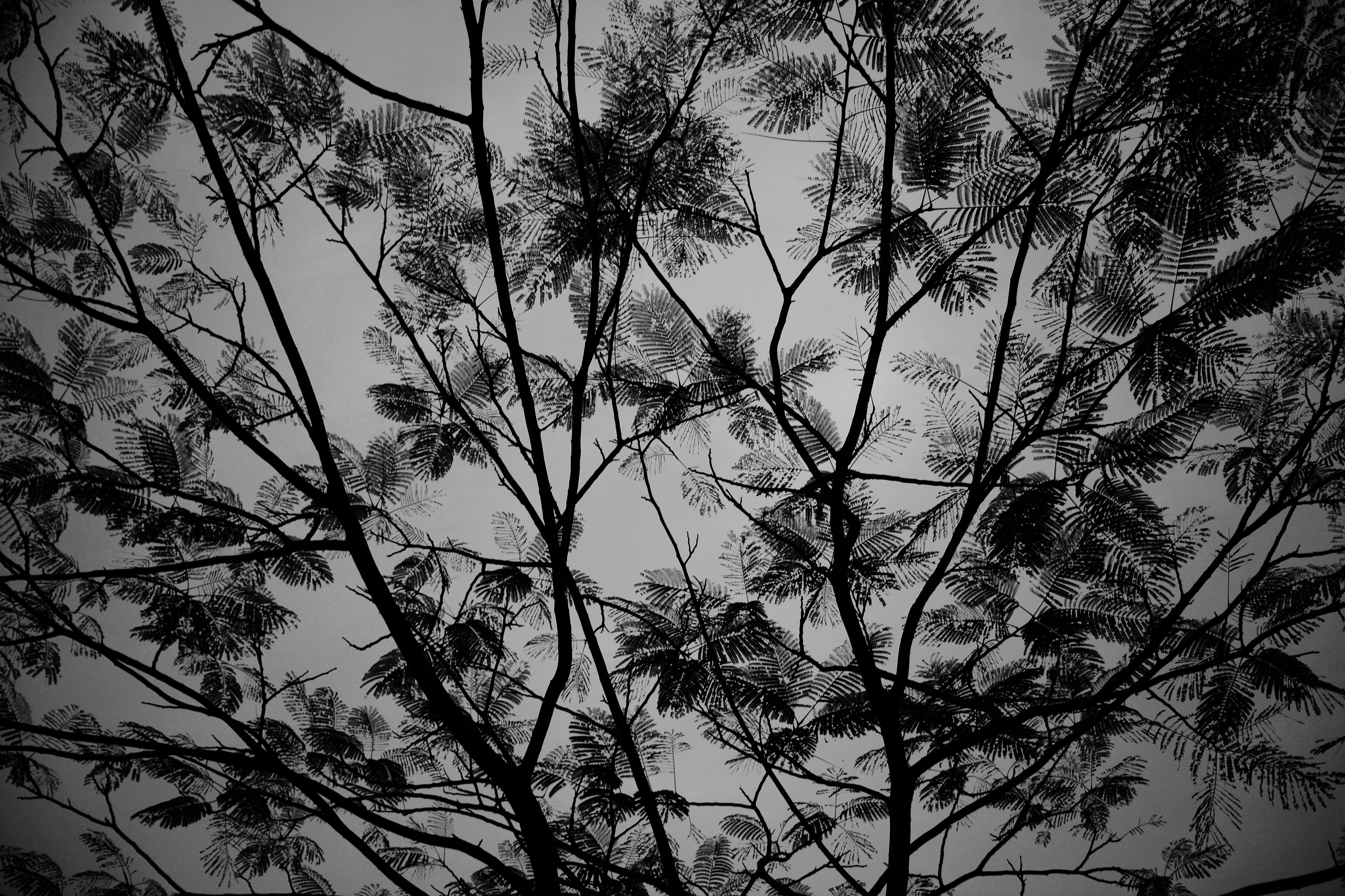 DSC_5795